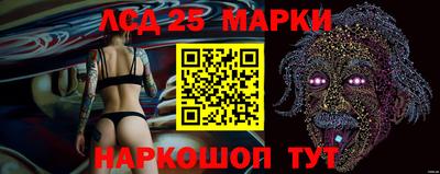 амф Заволжье