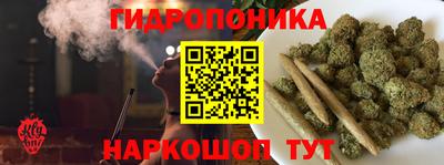 spice Заводоуковск