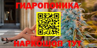 spice Заводоуковск