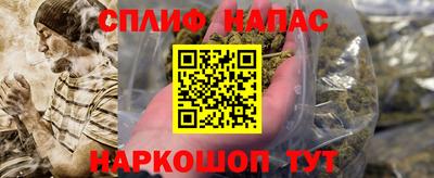 амф Заволжье