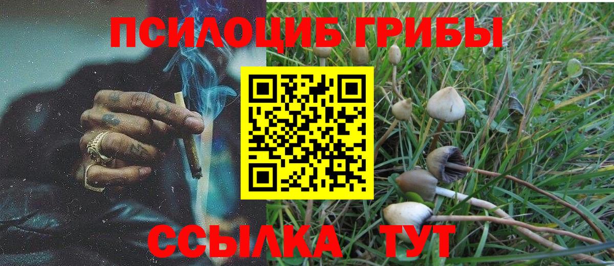 Псилоцибиновые грибы мухоморы  Псилоцибиновые грибы GOLDEN TEACHER  Ликино-Дулёво  Вход с VPN 